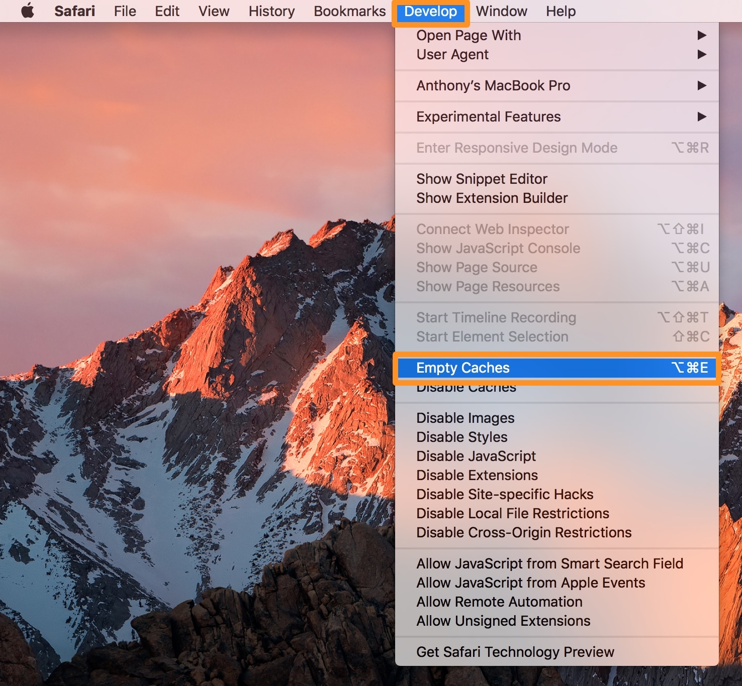 Clear DNS cache Mac - Safari Empty Caches