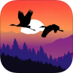 Pure Nature &#8211; 3D Soundscapes Will Transport You Outdoors