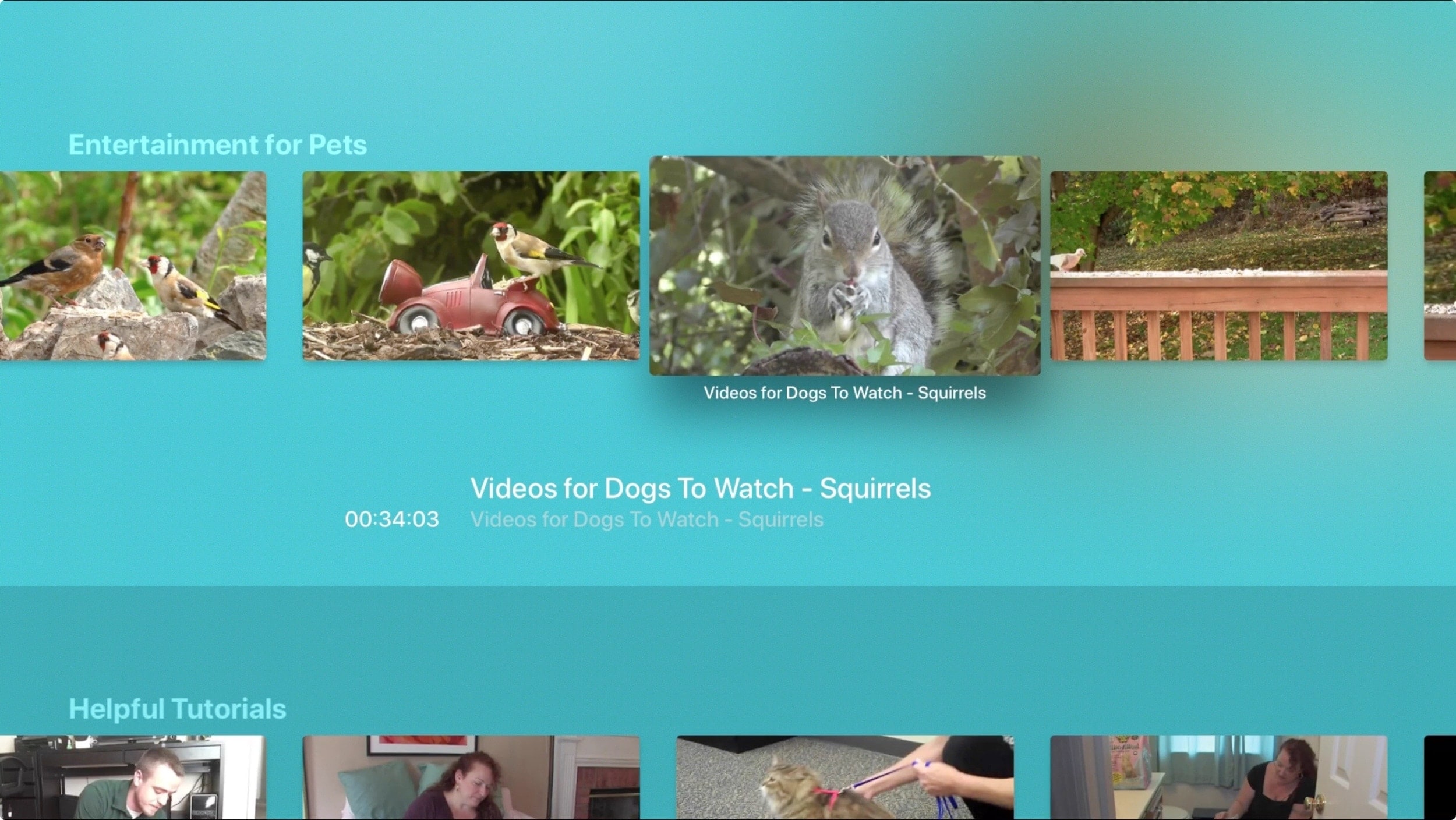 The Animal Channel Apple TV