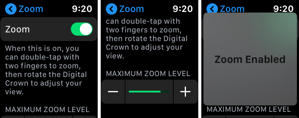 Zoom Settings on Apple Watch