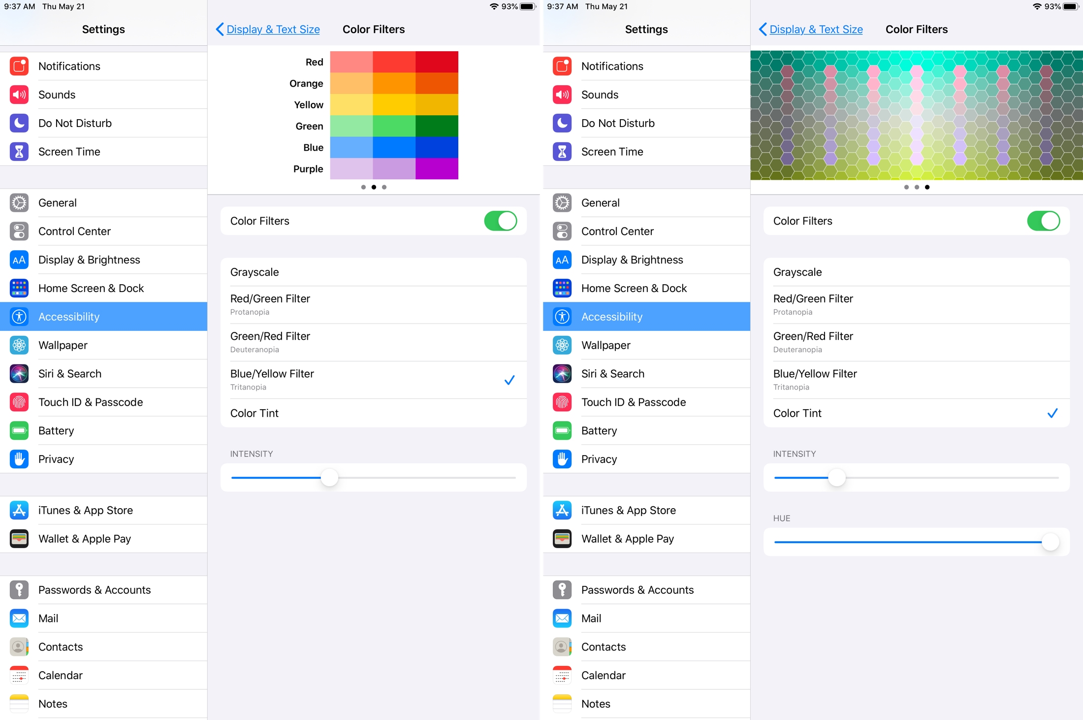 Accessibility Color Filters iPad