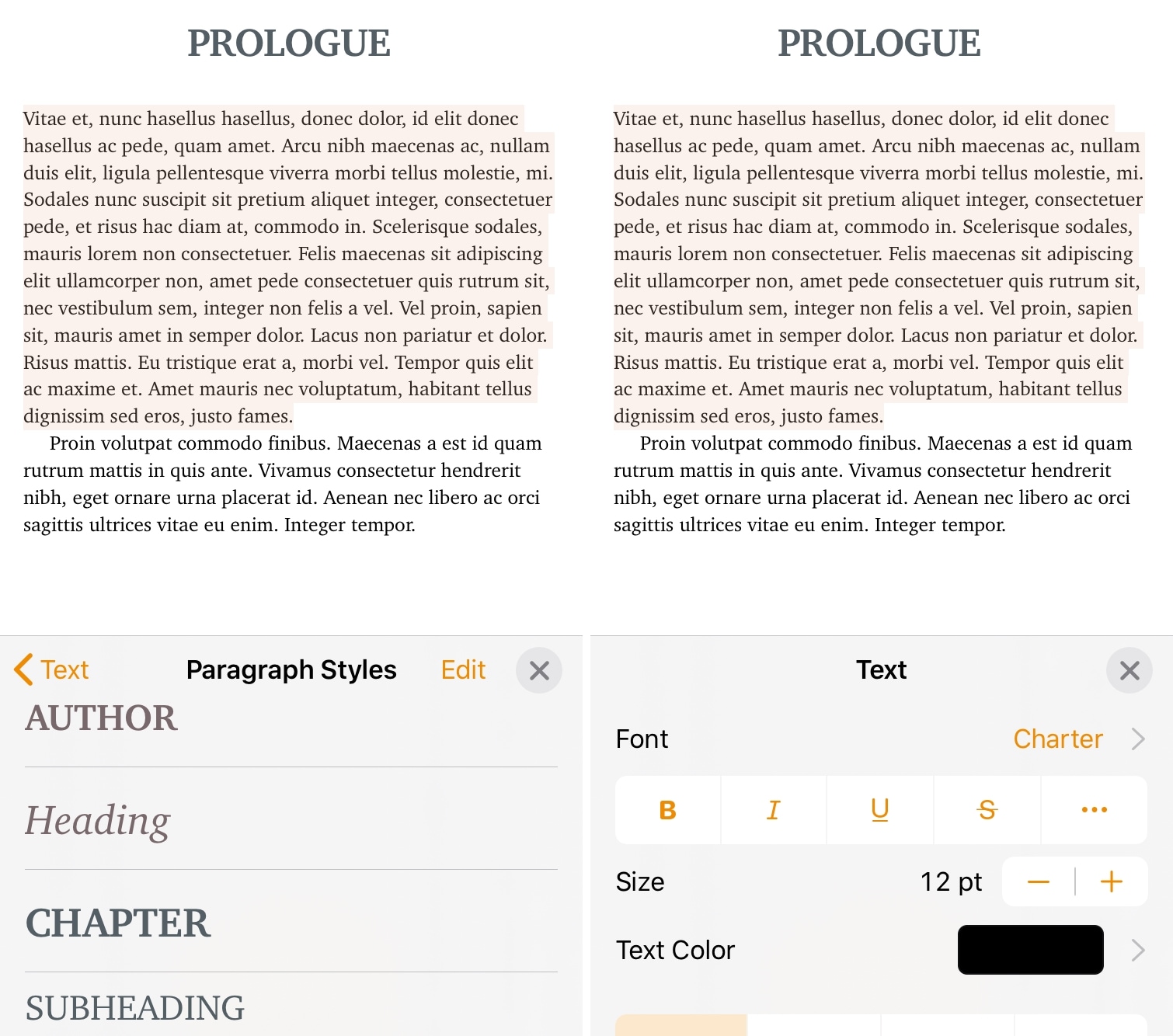 Pages Book Paragraph Styles on iPhone