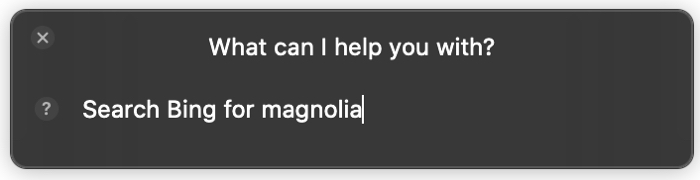 Siri Search Bing for on Mac