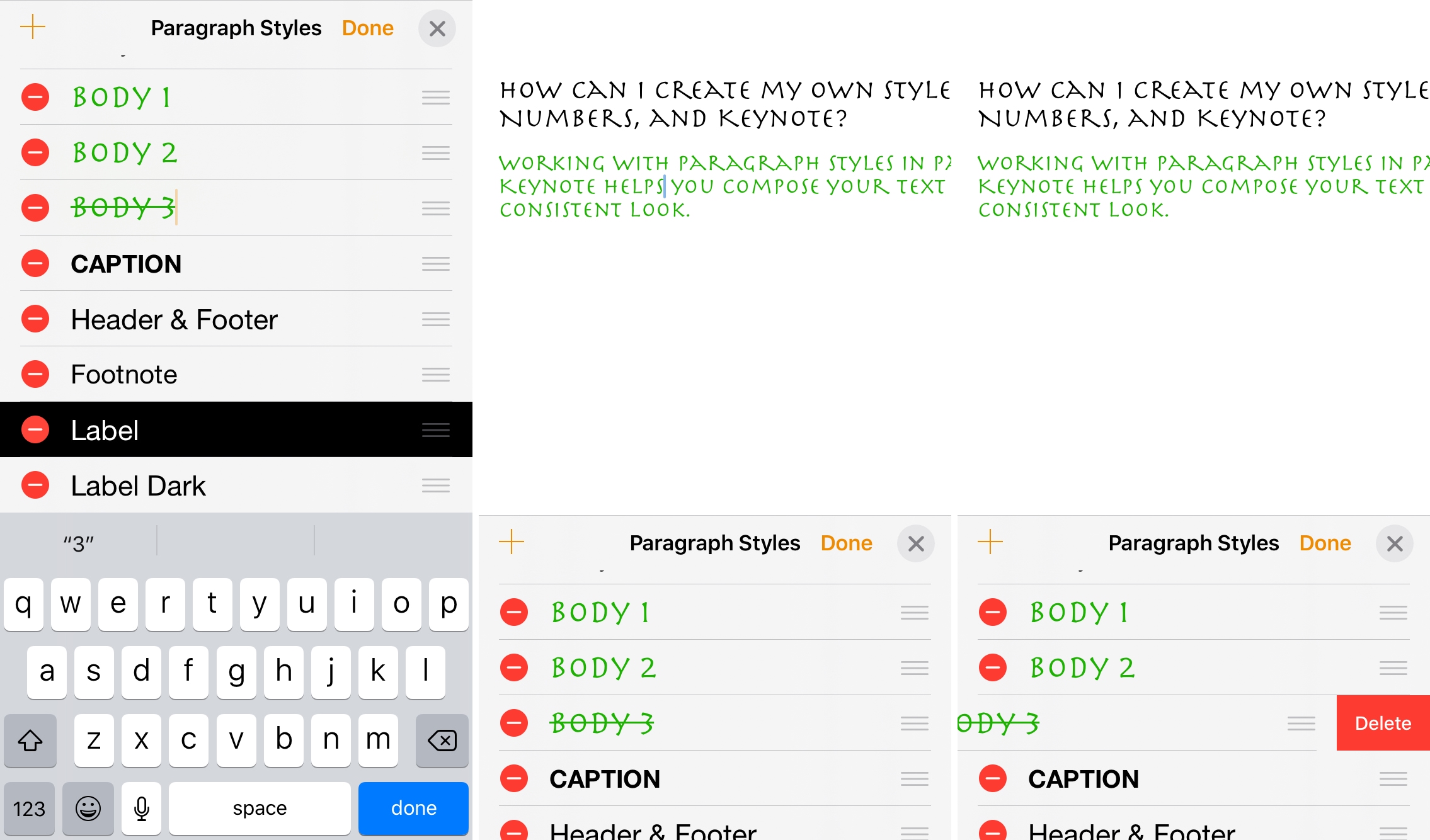 Rename Delete Paragraph Style Pages iPhone