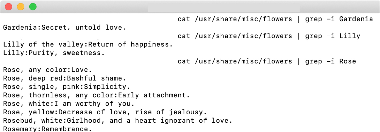 Fun Terminal Commands Flower Meanings