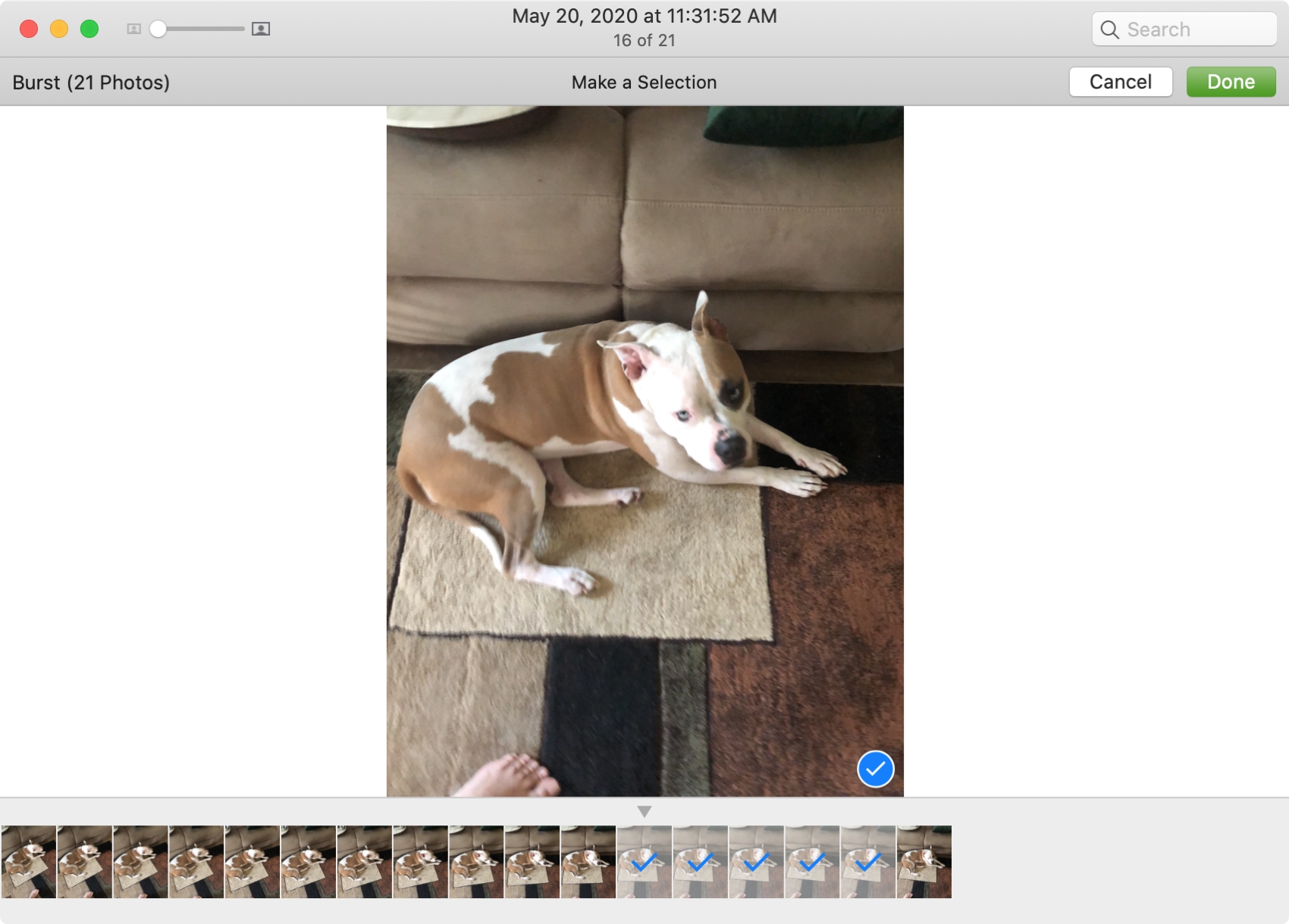 Select Burst Photos on Mac