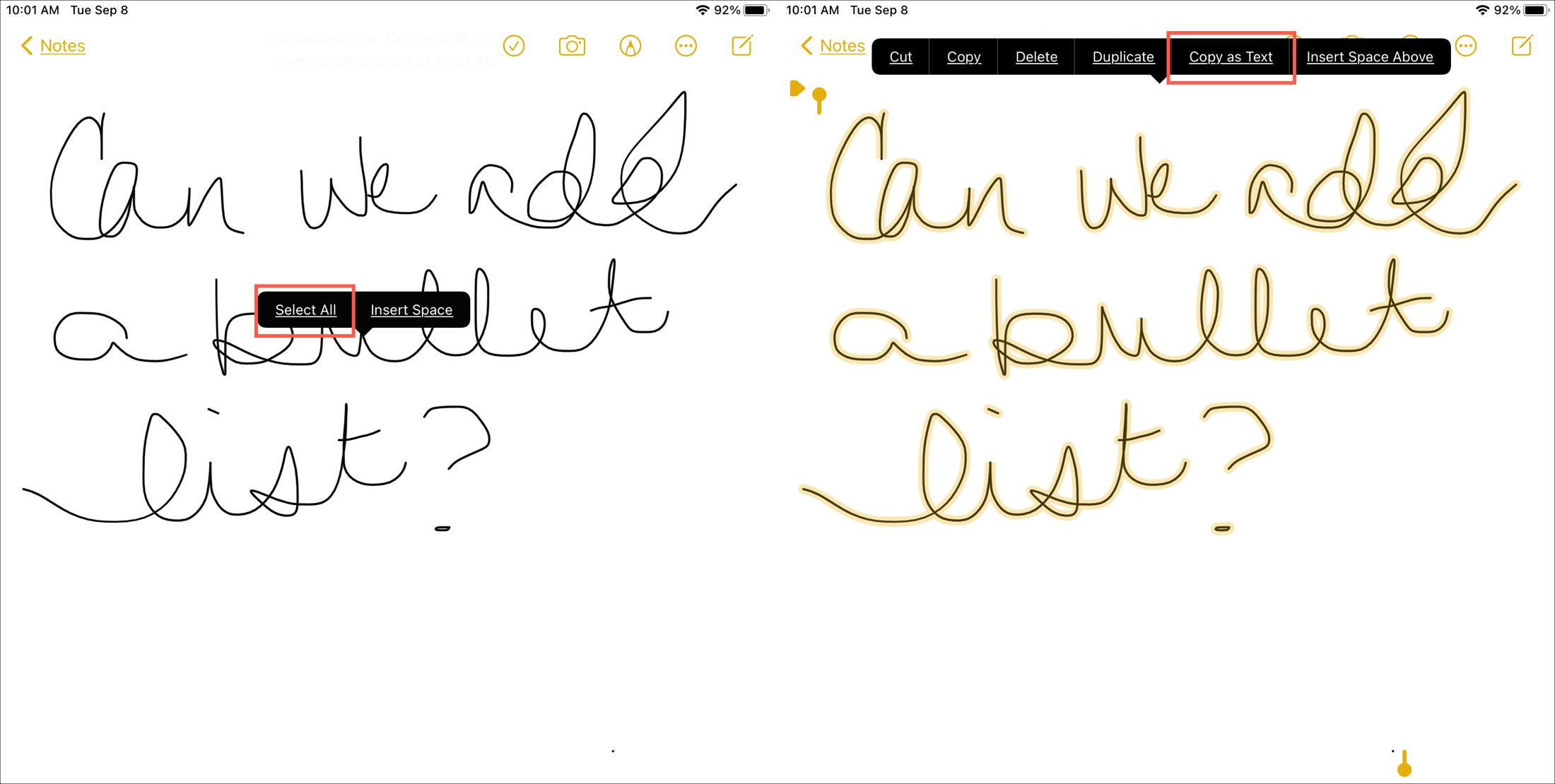 iPadOS 14 Notes Copy as Text