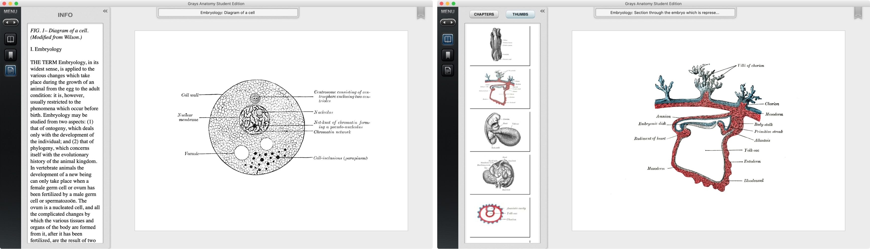 Grays Anatomy Student Edition Mac App