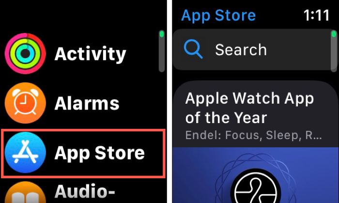 Apple Watch App Store