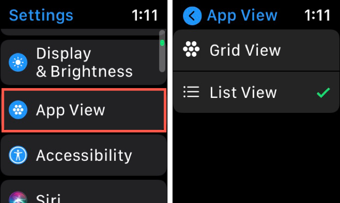 Apple Watch App View