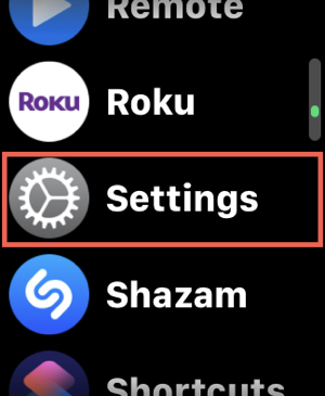 Apple Watch Settings