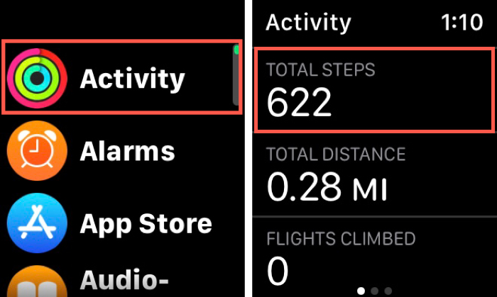Apple Watch Steps