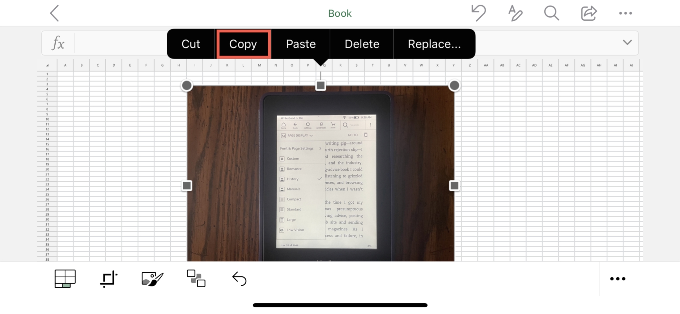 Excel Copy Image on iPhone