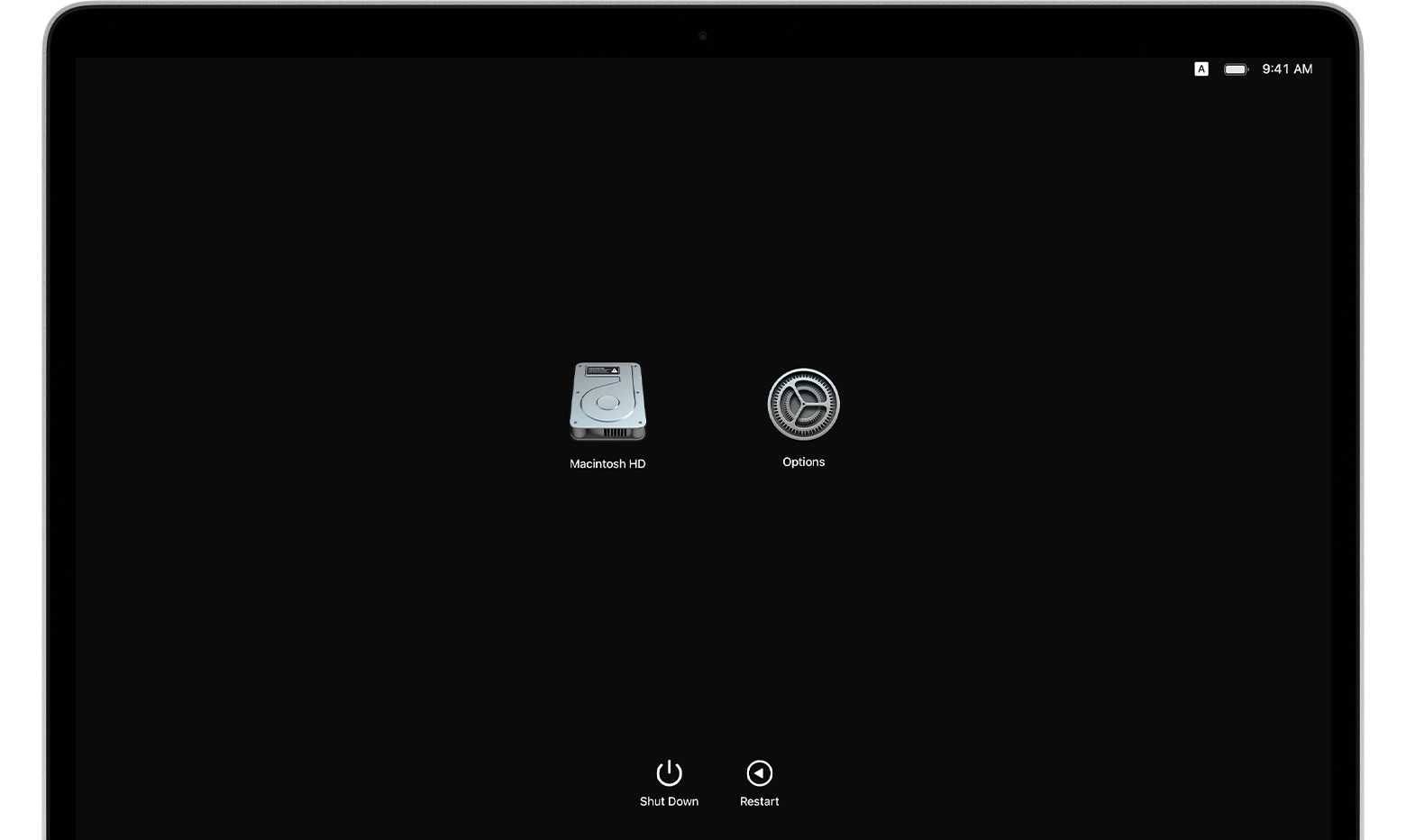 An image showing a macOS recovery boot screen with startup options