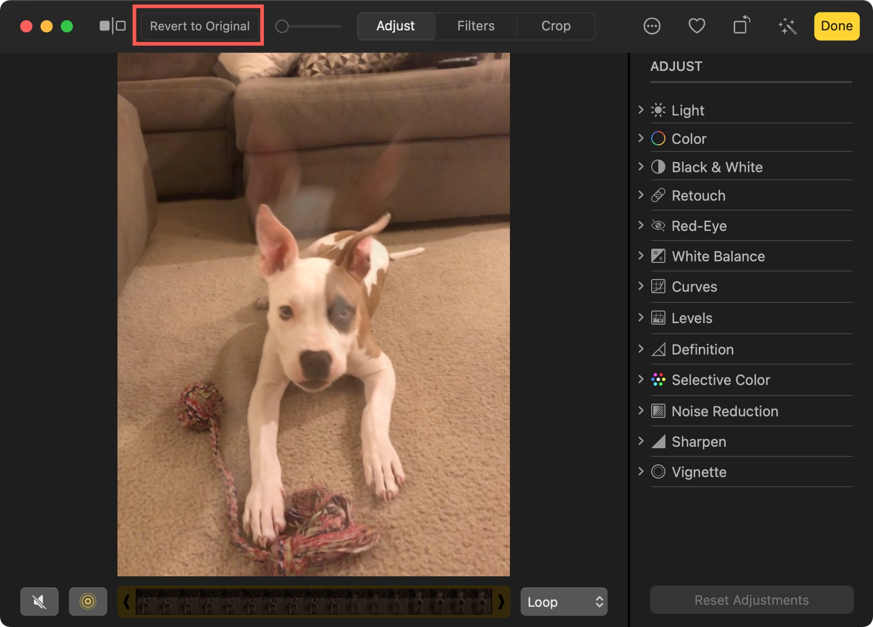 Revert Effect for Live Photo on Mac