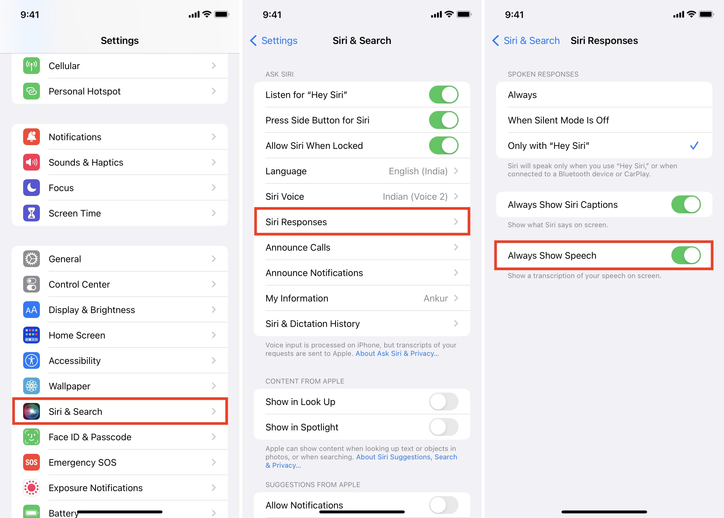 Always Show Speech Siri on iPhone