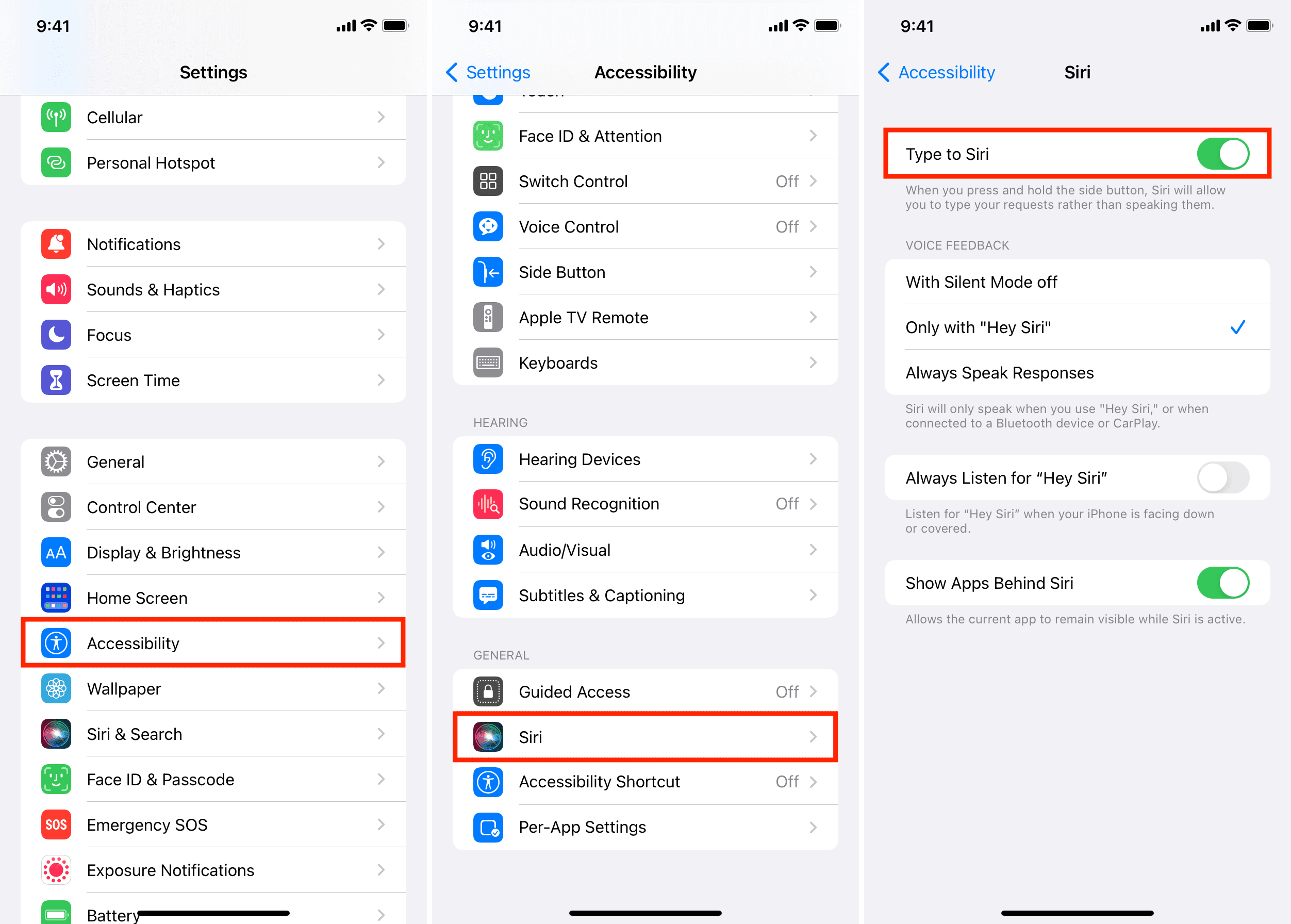 Type to Siri enabled on iPhone