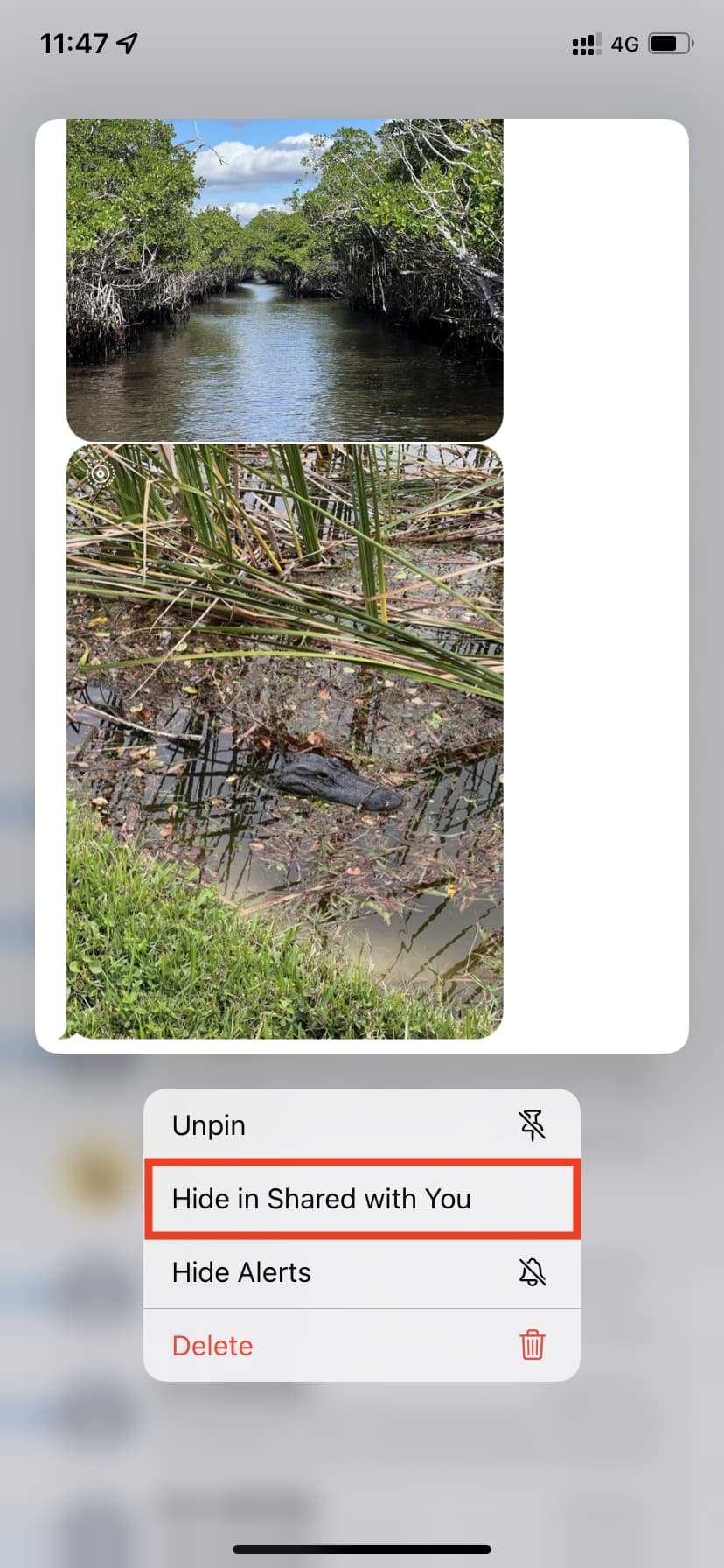 Hide in Shared with You iPhone Messages app