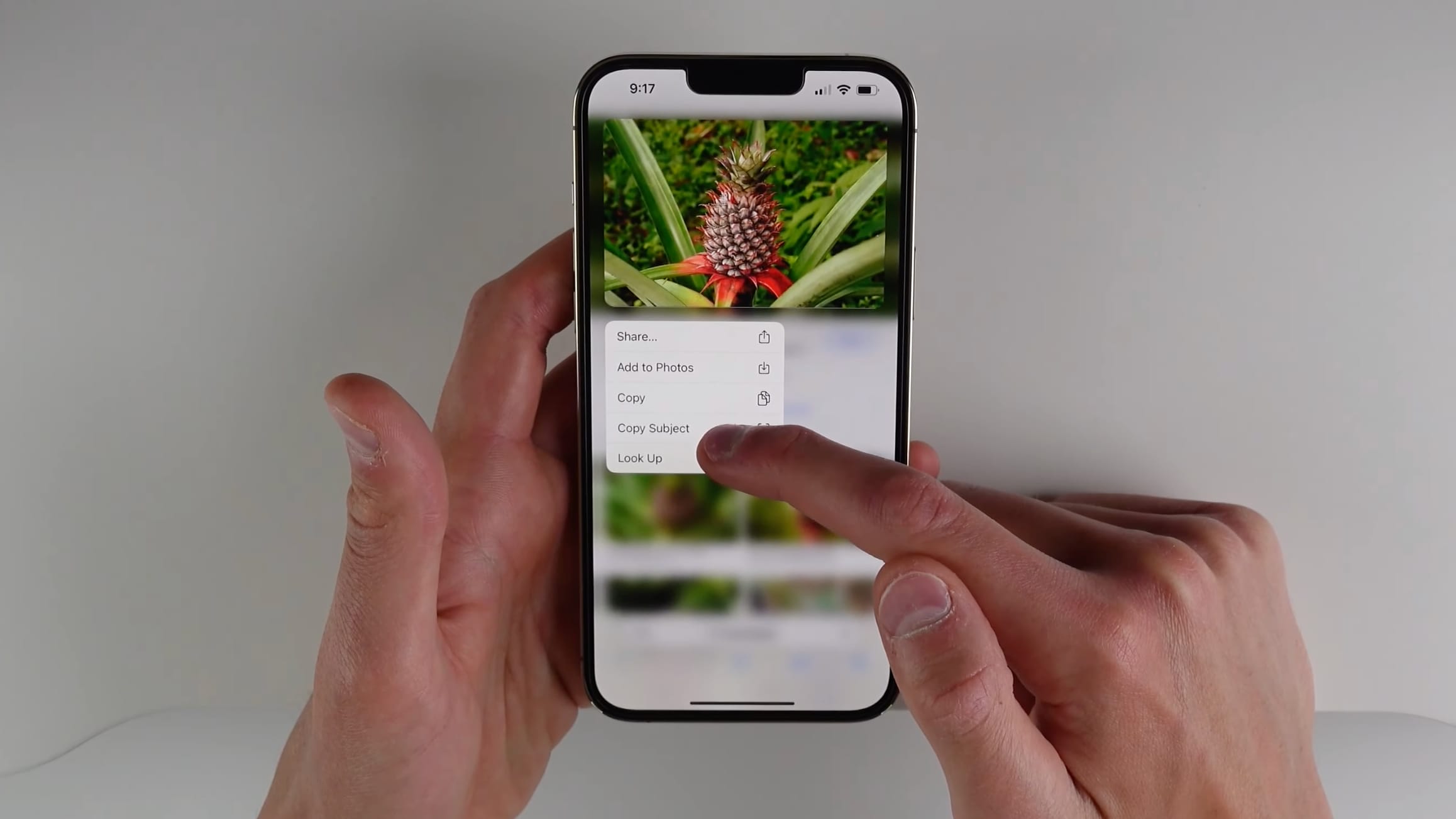 Demonstrating lifting the subject from an image in Safari on iOS 16. In this example, the user touches and holds their finger on a pineapple in the foreground of an image, producing a menu with the Copy Subject option.