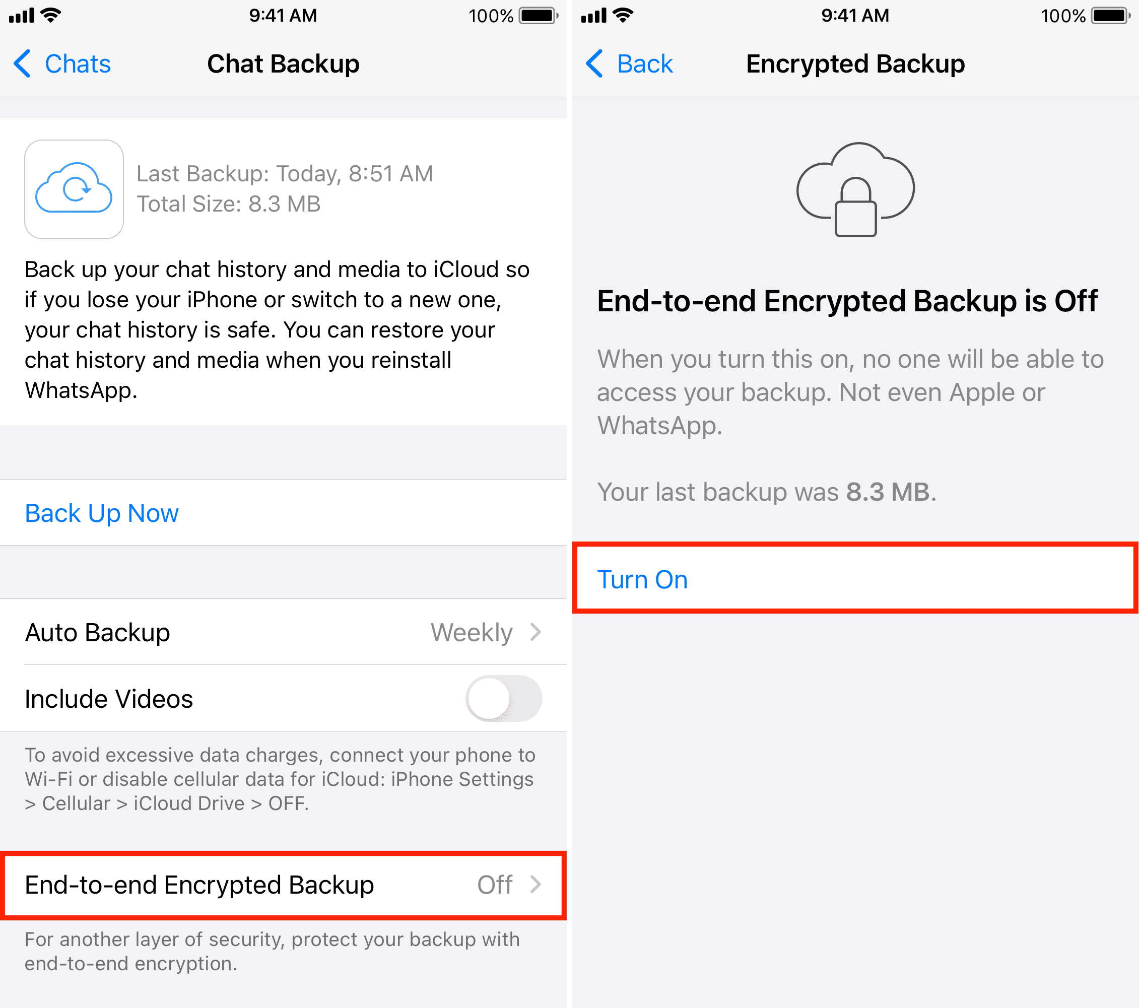 Turn on end-to-end encrypted WhatsApp Backup on iPhone
