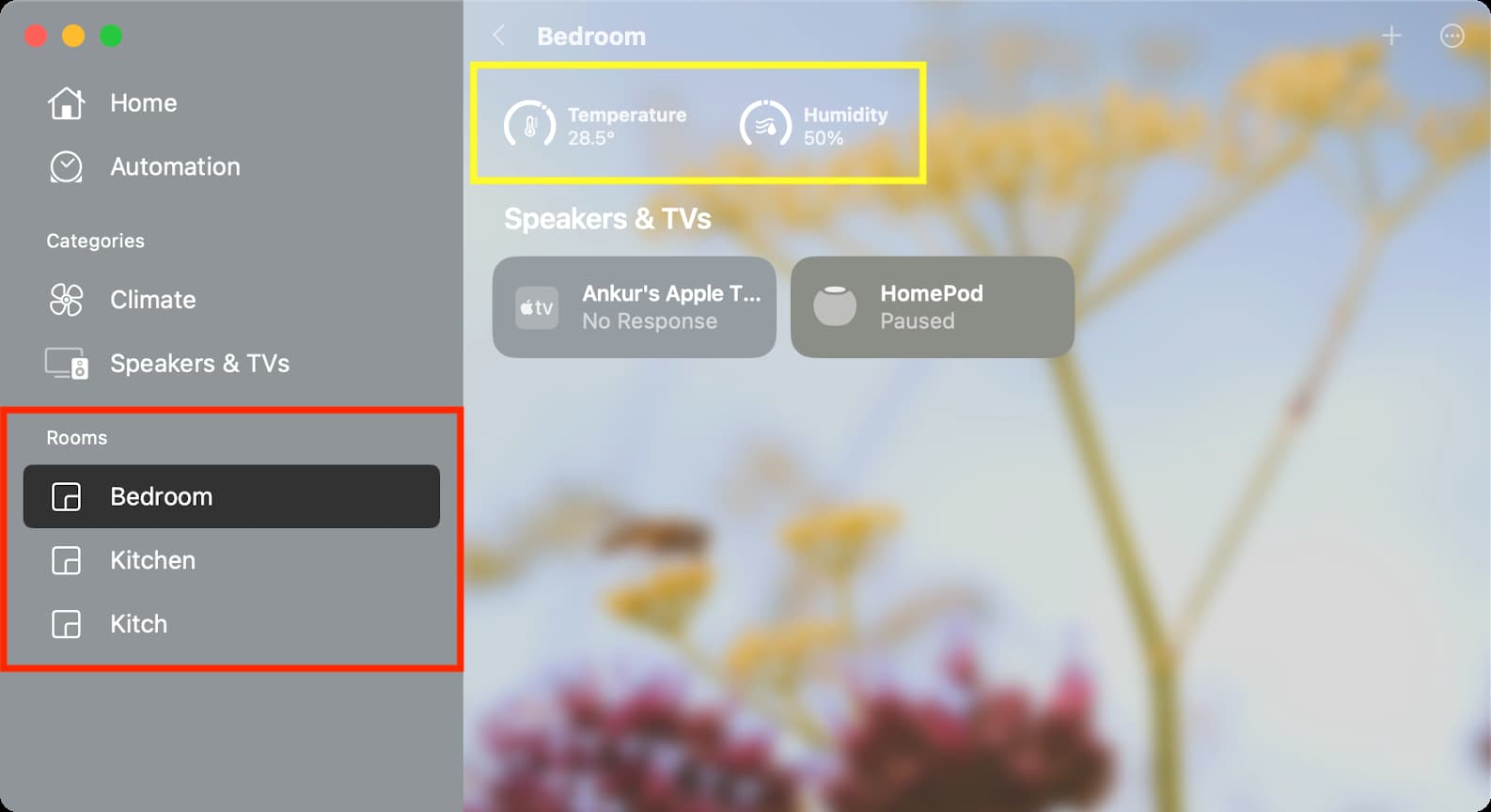 See room temperature and humidity measured by your HomePod in the Home app on Mac