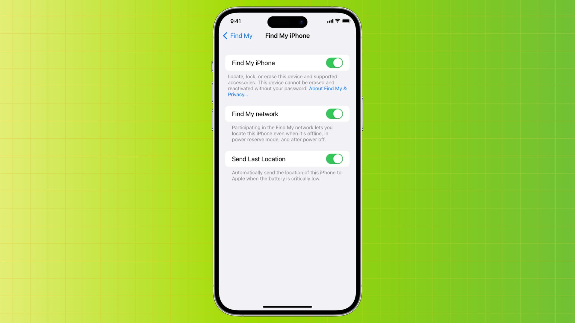 Find My iPhone enabled from the settings app