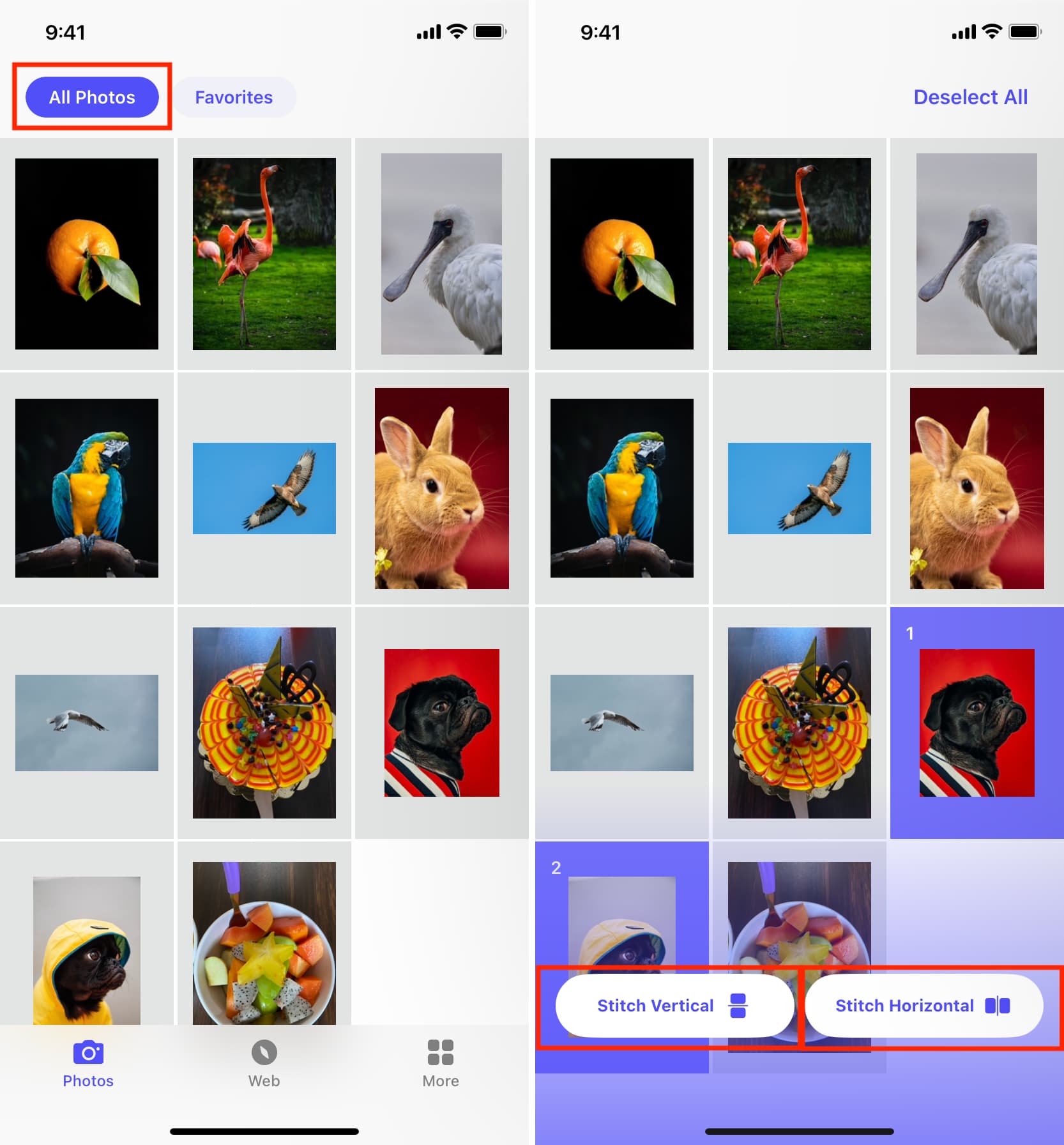 Stitch two images horizontally or vertically on iPhone using the Stitch Photos app