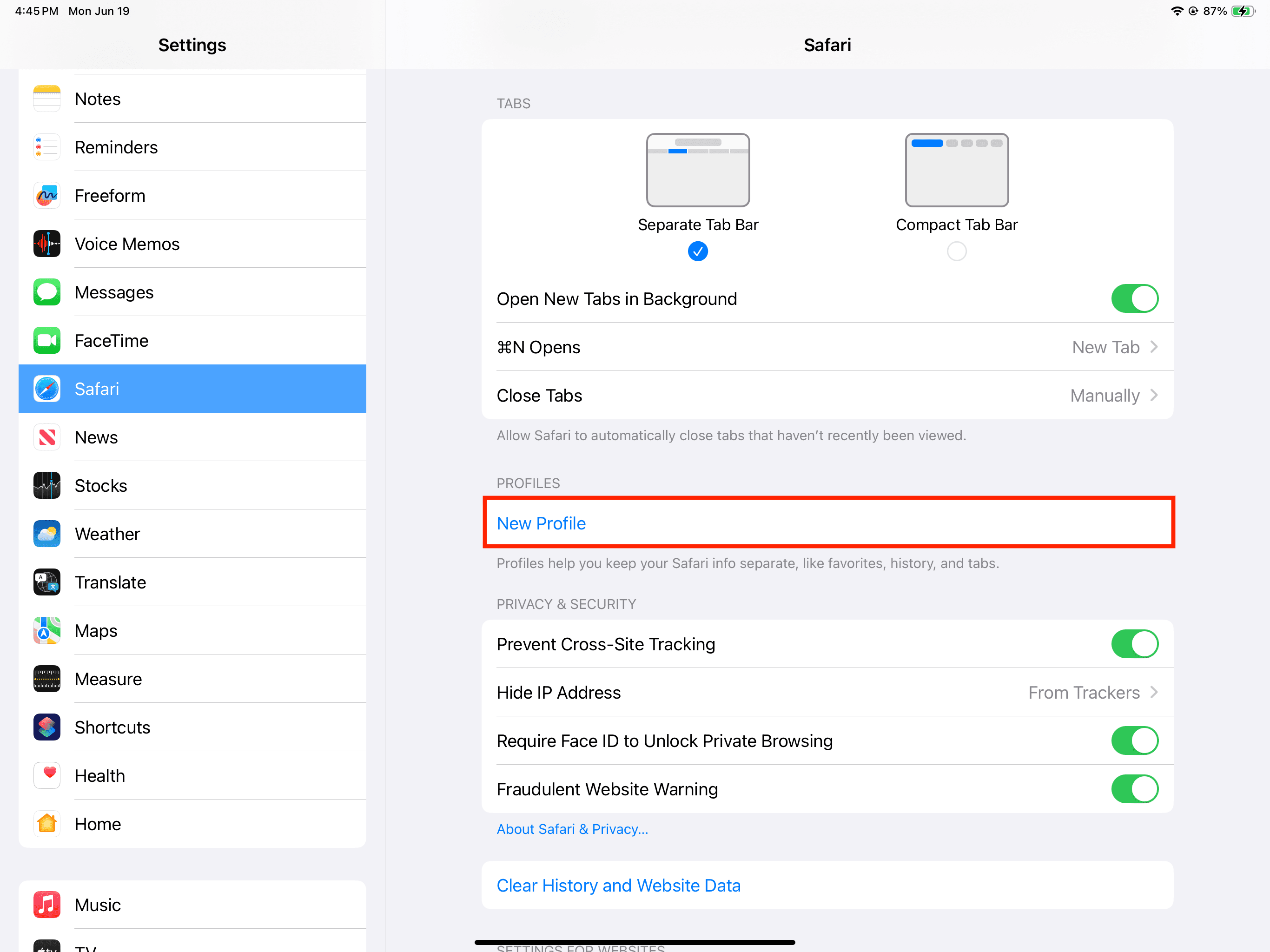 New Profile in Safari settings on iPad