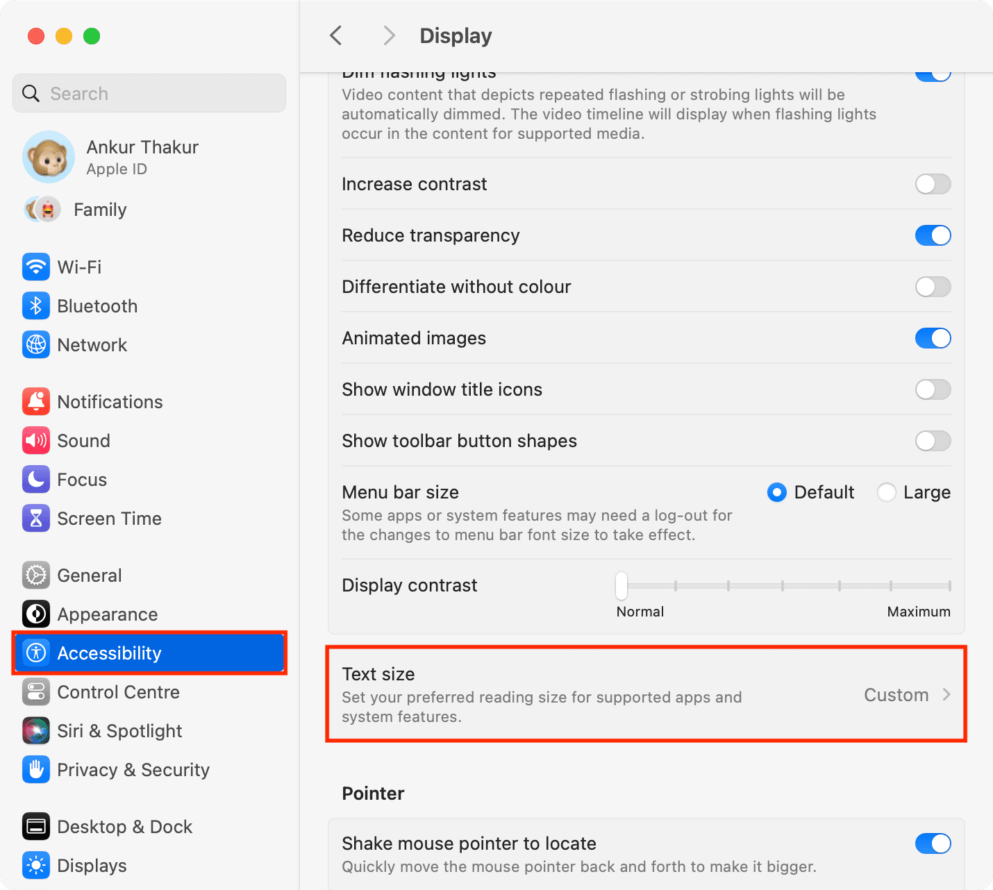 Text size in Mac accessibility settings