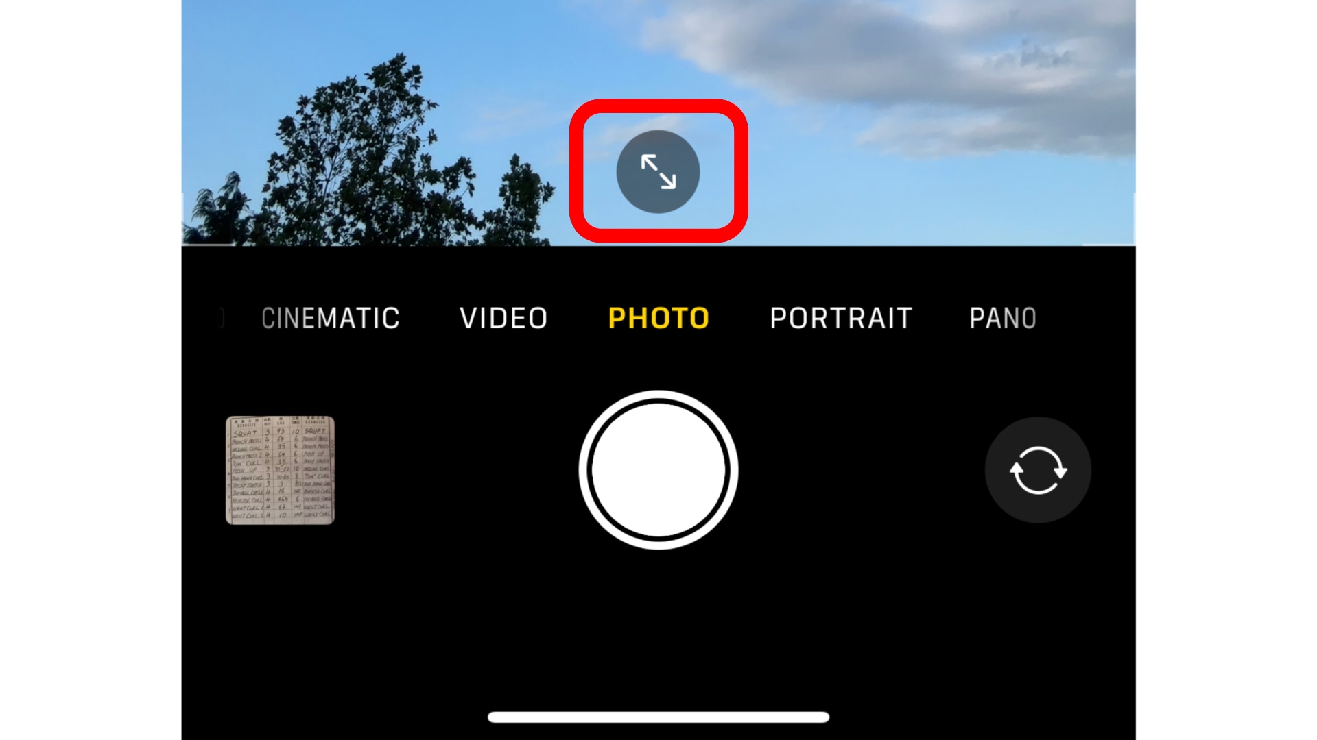 Closeup of the arrow icon at the bottom of the viewfinder in the iPhone's Camera app