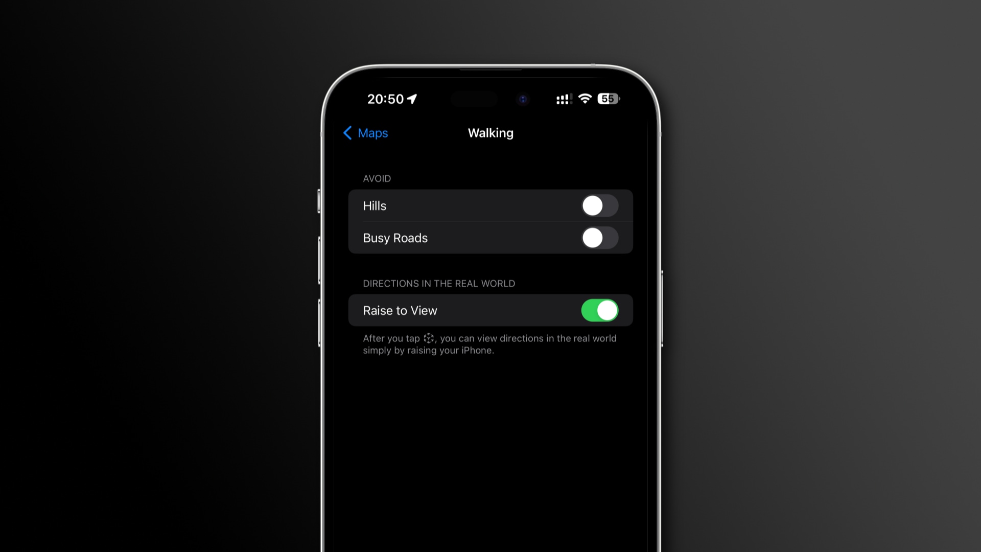 Apple Maps settings with the Raise to View setting enabled for AR navigation