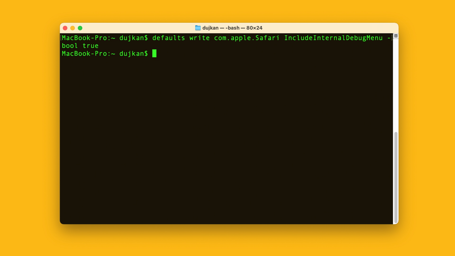 macOS Terminal window displaying a command to show Safari's hidden Debug menu