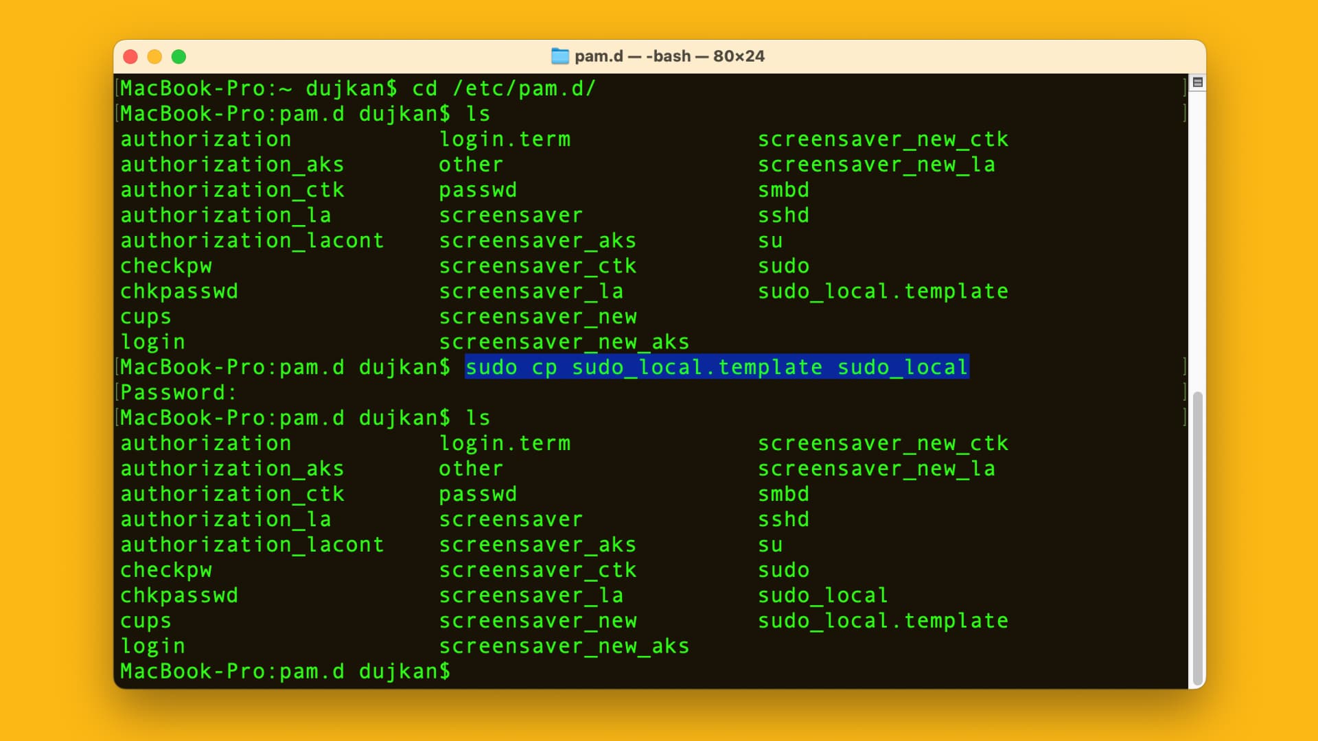 Copying the Touch ID template file in macOS Terminal 