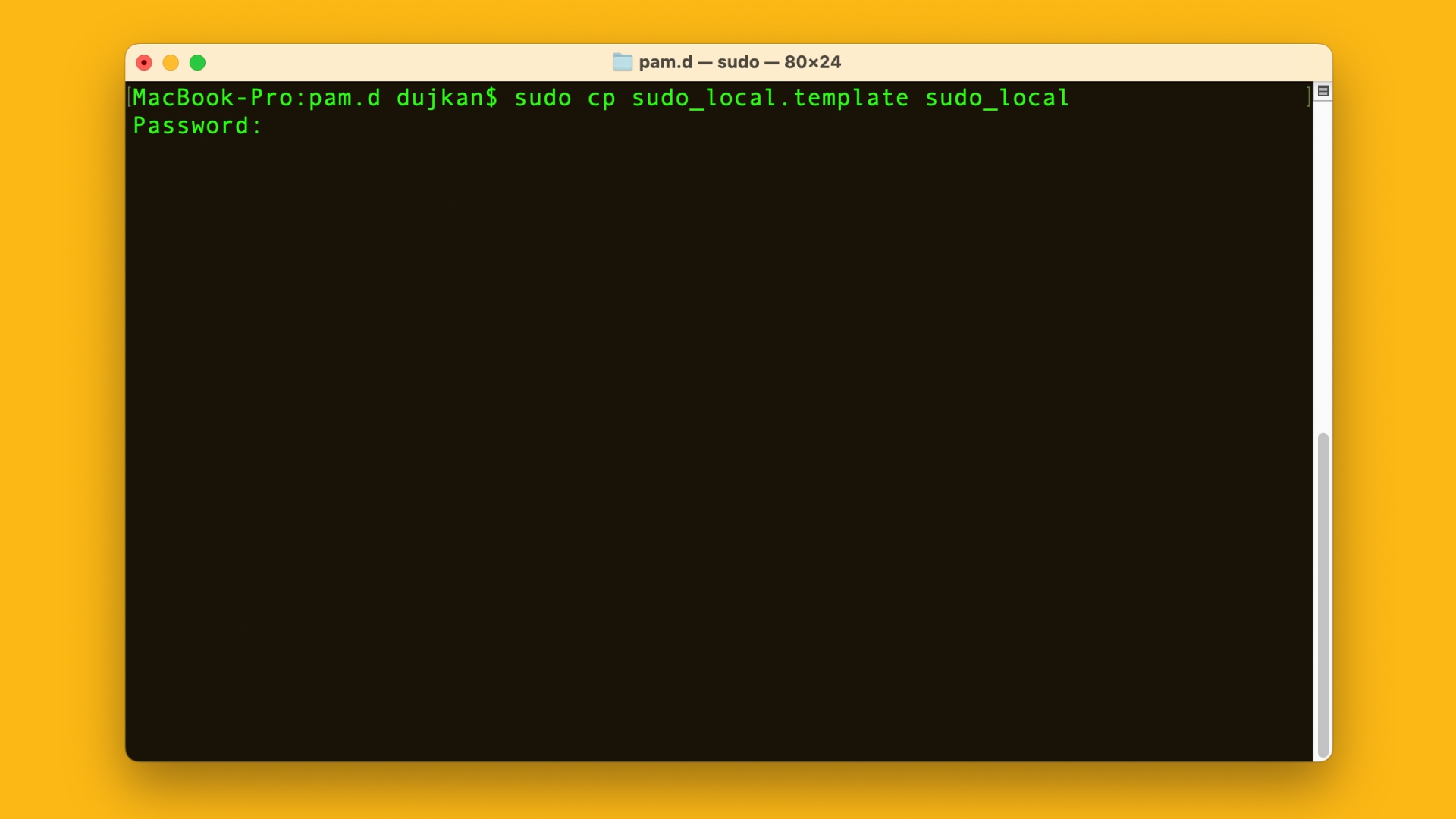 Entering password in macOS Terminal to authenticate a sudo command 