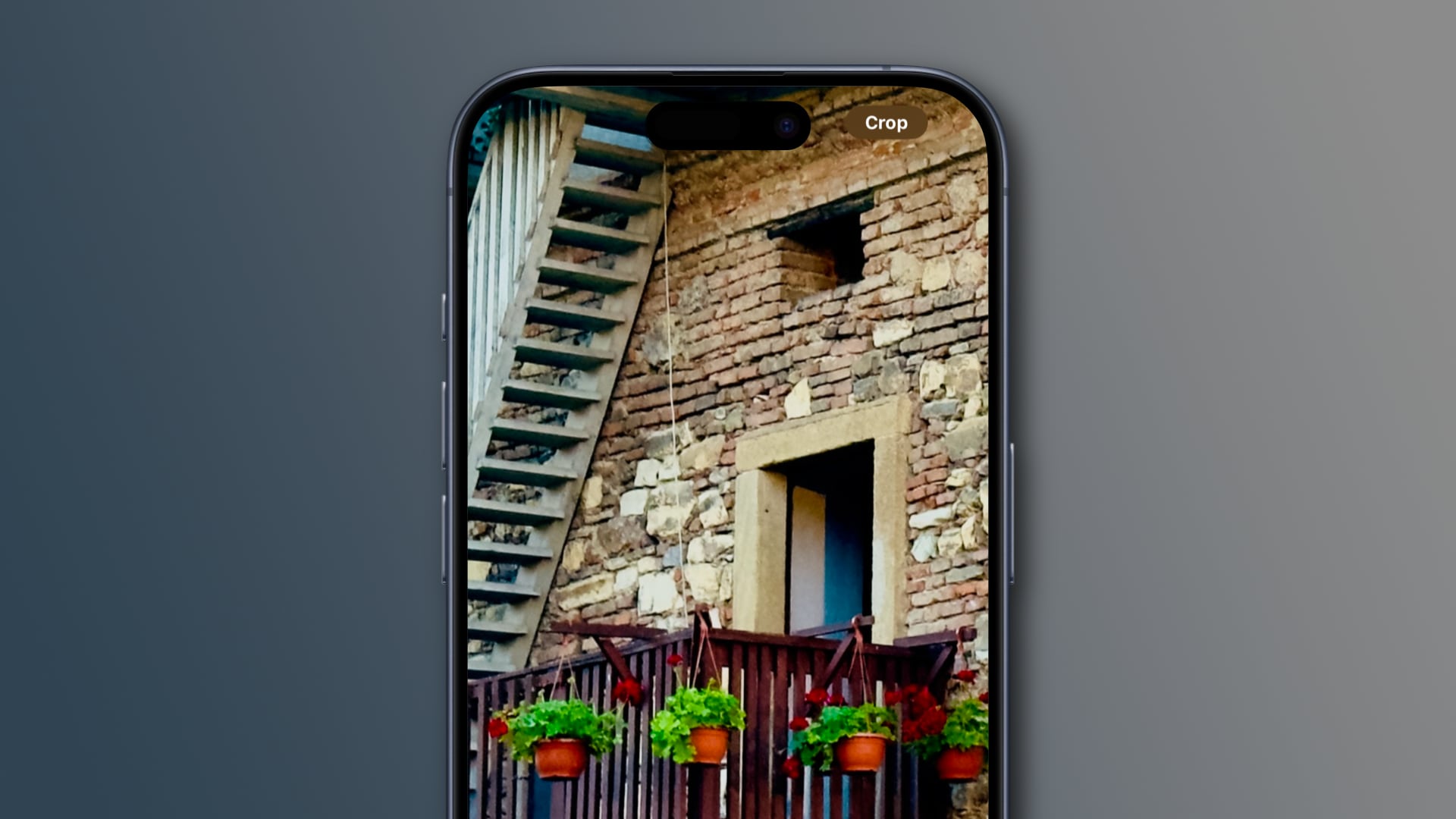 Zoomed-in image in iOS 17 Photos with a Crop button in the top-right corner
