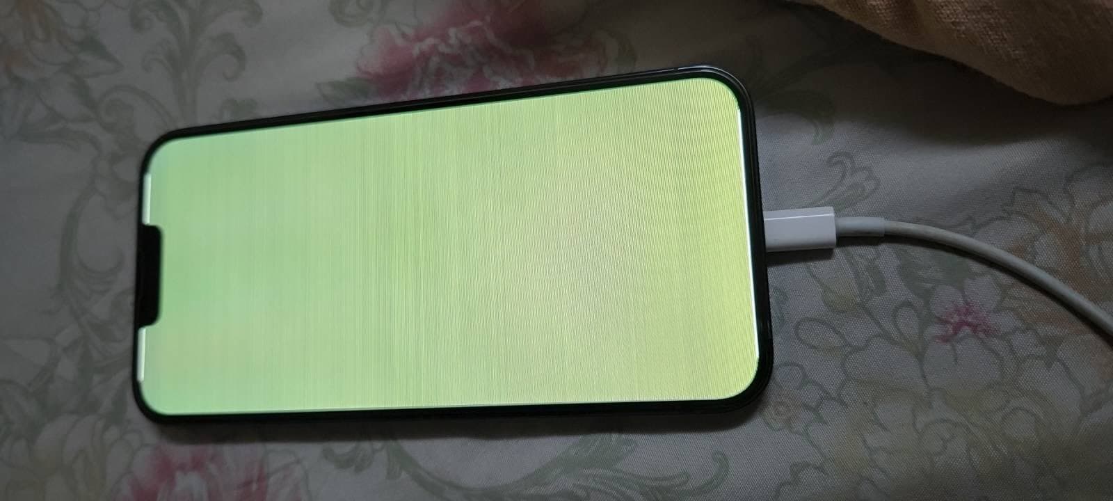 iPhone with full green screen plugged into charging