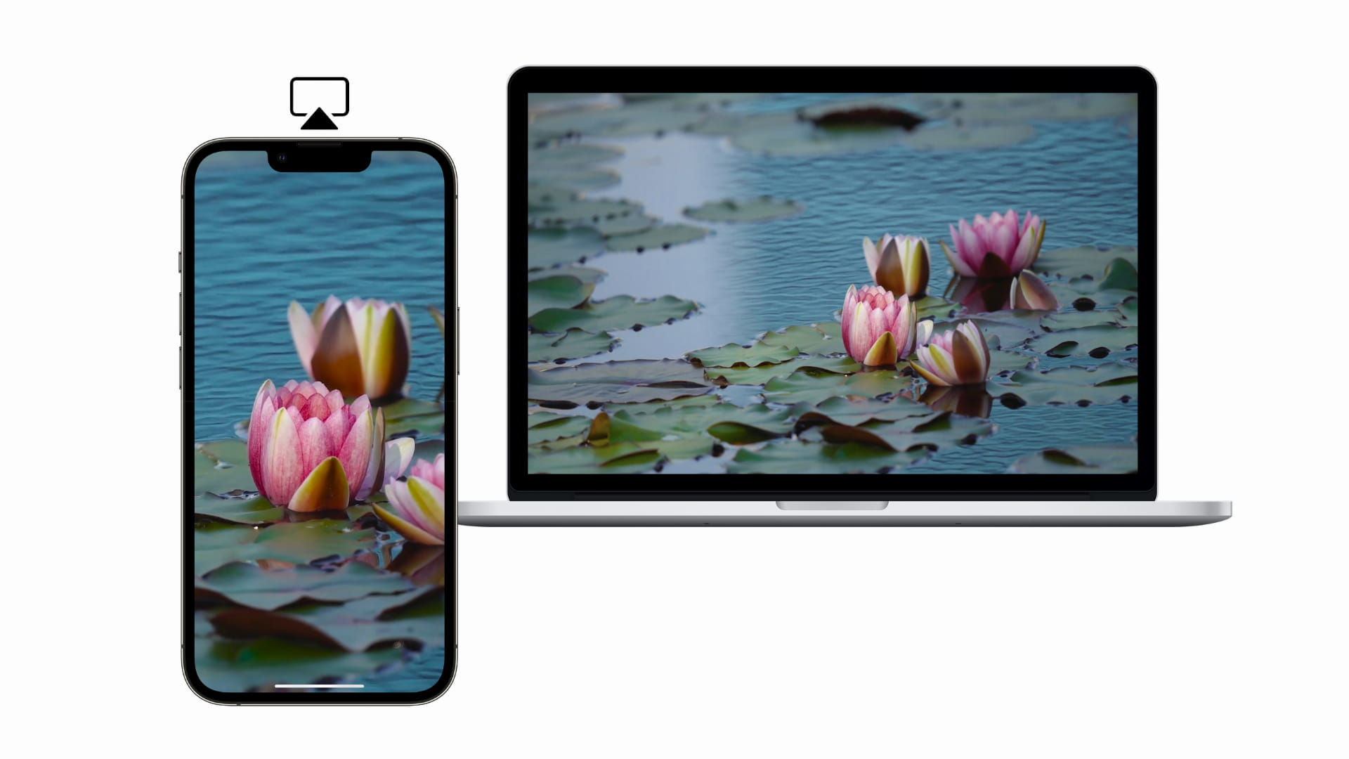 iPhone and MacBook with same content on both screens showing AirPlay