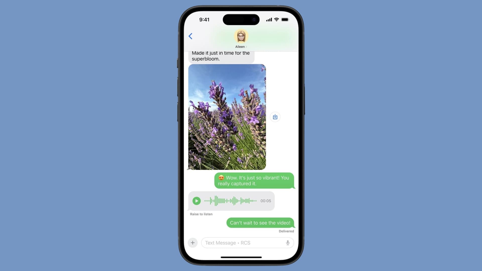 RCS in Messages app on iPhone