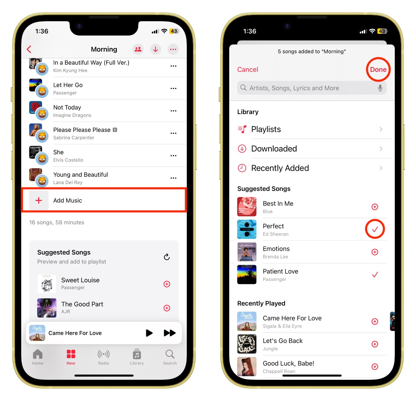 Adding songs to collaborative playlist on Apple Music