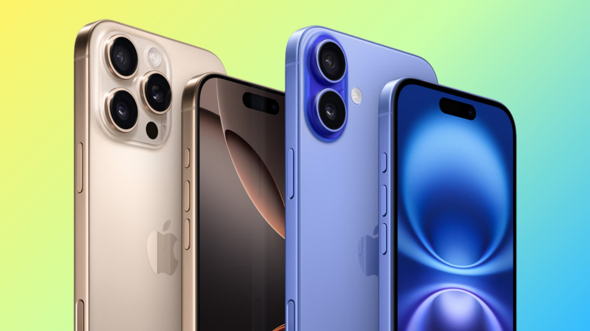 Entire iPhone 16 series in a line-up