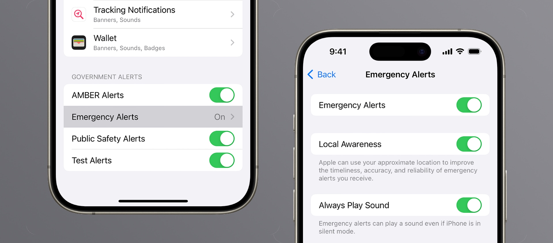 The Emergency Alerts settings for government notifications on iPhone