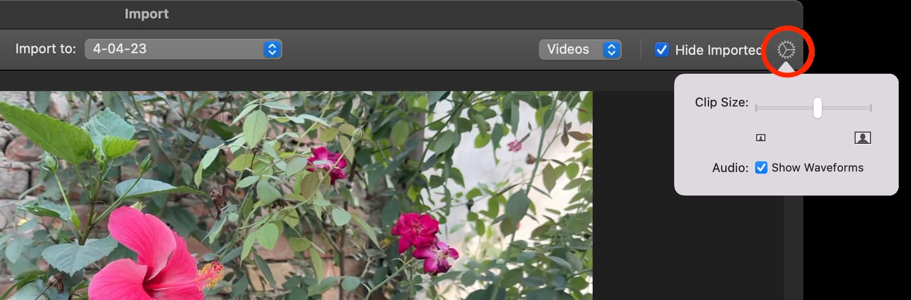 Change how clips look in iMovie Import window on Mac