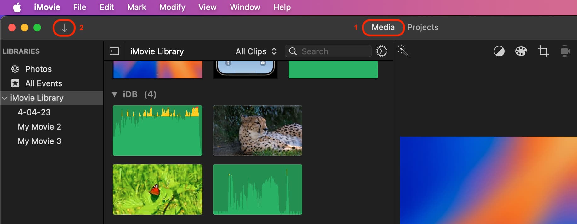 Click Import icon in iMovie on Mac