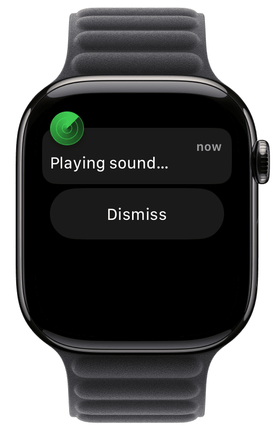 Playing Find My sound on Apple Watch