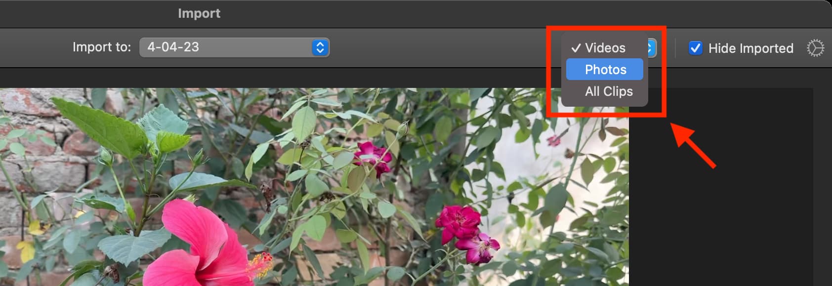 Select Videos Photos or All Clips in iMovie Import window on Mac