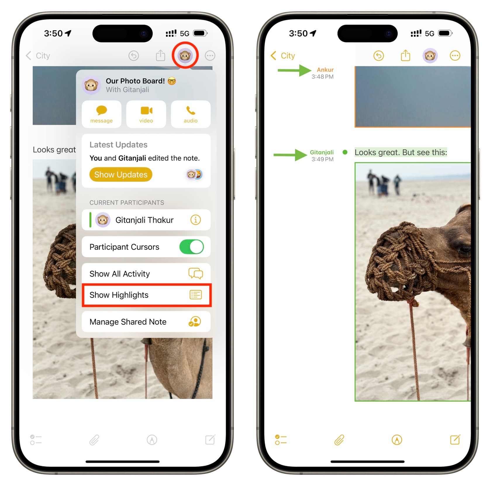 Show Highlights of Shared Note on iPhone to see who made the changes