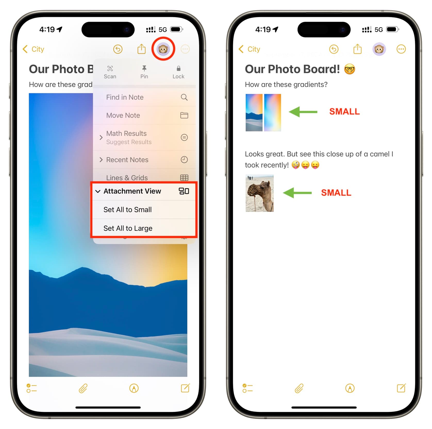 Small and large Attachment View in Notes app