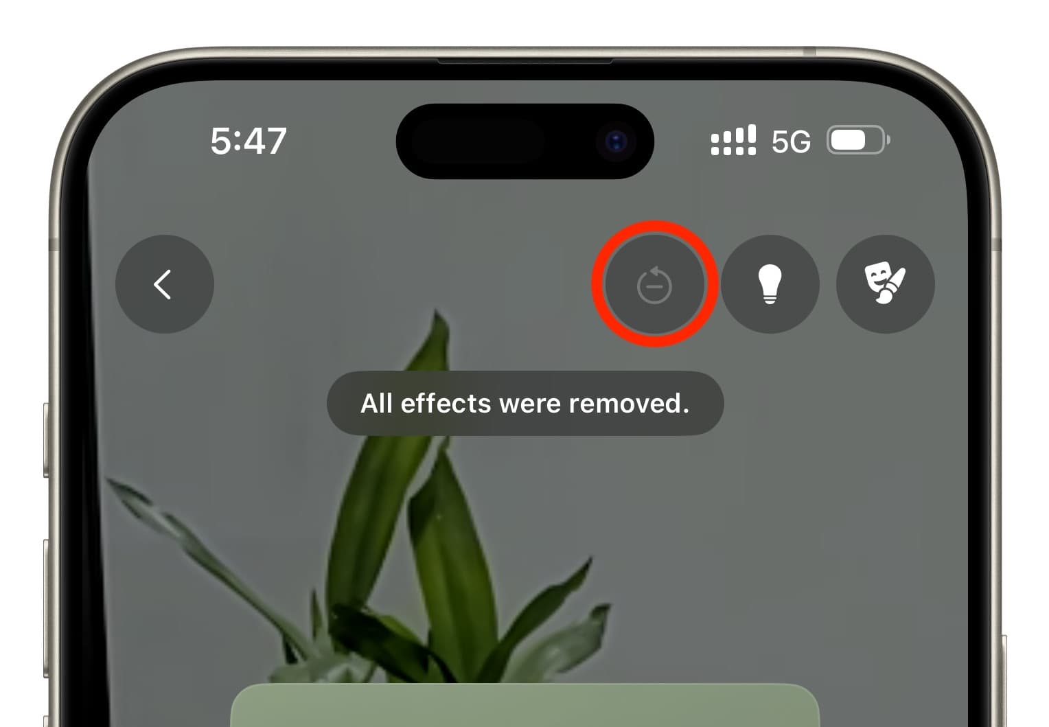 All video call effects removed from WhatsApp on iPhone