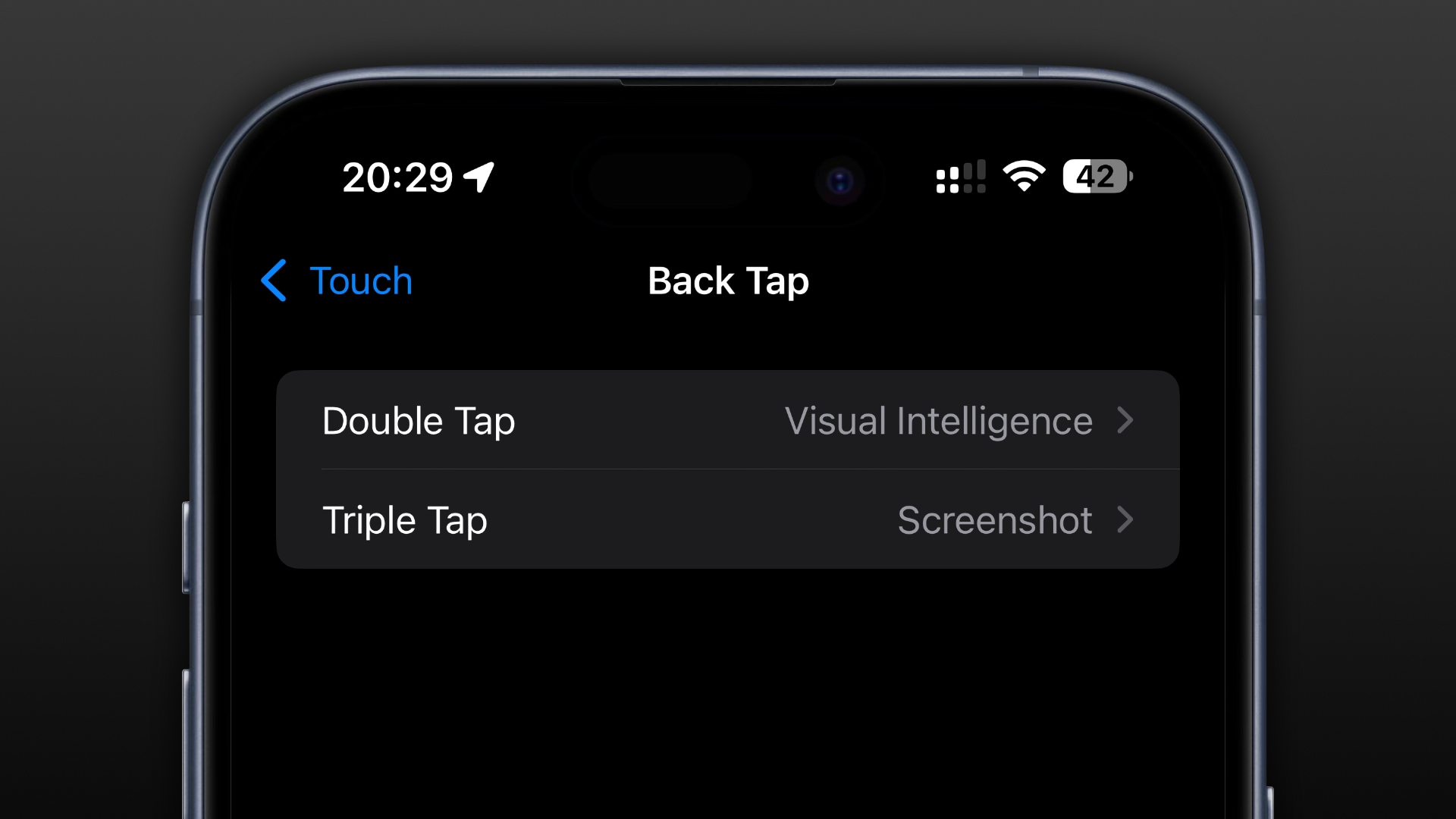 Framed iPhone screenshot showing the Back Tap bindings with the double-tap action assigned to visual intelligence and triple-tap to the screenshot tool.