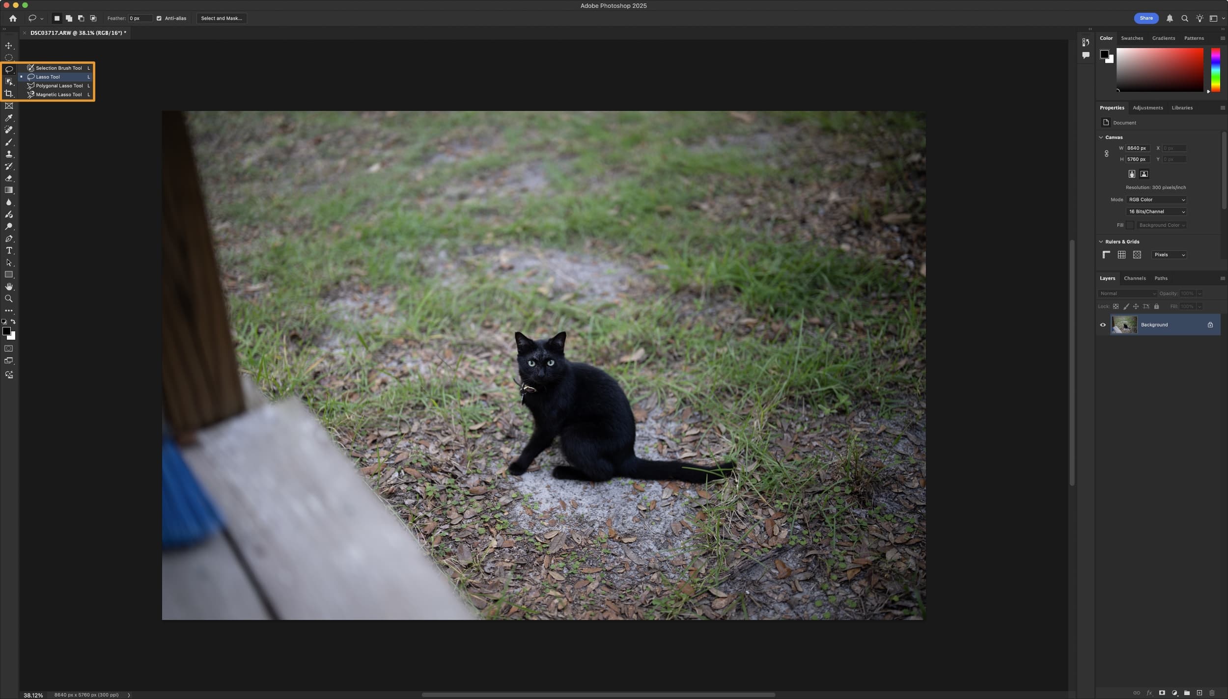 Adobe Photoshop Lasso Selection Tool Menu.